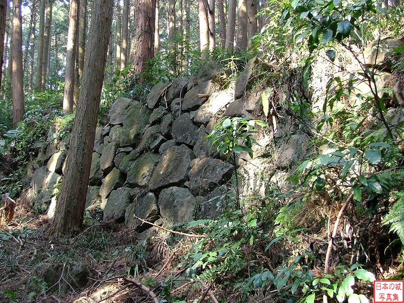 Karasuyama Castle