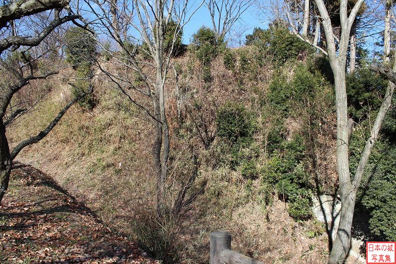 川崎城 一ノ堀南側 南曲輪付近から見る本丸。手前に一ノ堀がある。