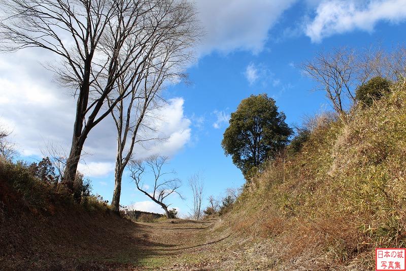 川崎城 一ノ堀南側 左に見えるのはヤマトアオダモ。樹齢約400年と言われる古木。