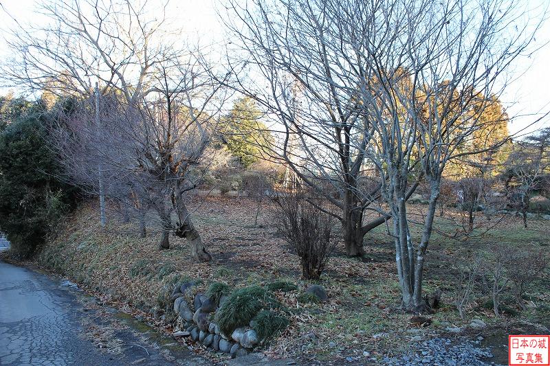大田原城 北曲輪 北曲輪のようす。本丸の北側に位置し、いくつかの曲輪により構成される。かつては庭園があった。