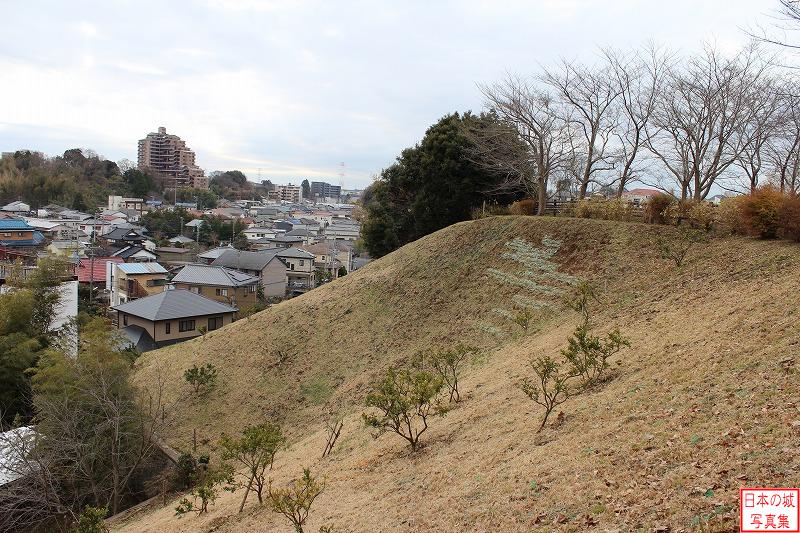 臼井城 本丸 本丸東側の切岸。相当の高さがあり、高い防御性があることが伺える。