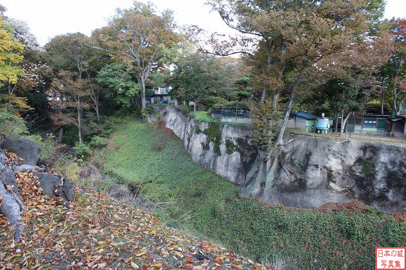 小諸城 帯曲輪 本丸東側の木谷。本丸は三方を深い谷に、一方は千曲川の崖に守られる要害。この地形は当地では「田切地形」と呼ばれるもので、ほぼ垂直な崖の高さは30m前後もあり、地形を城の縄張りとして有効活用している。