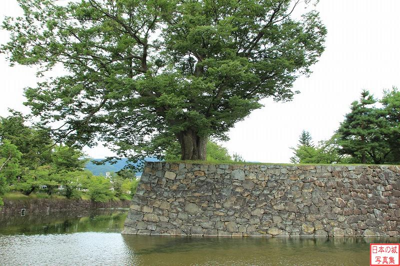 松本城 水濠 本丸西側の水濠と石垣