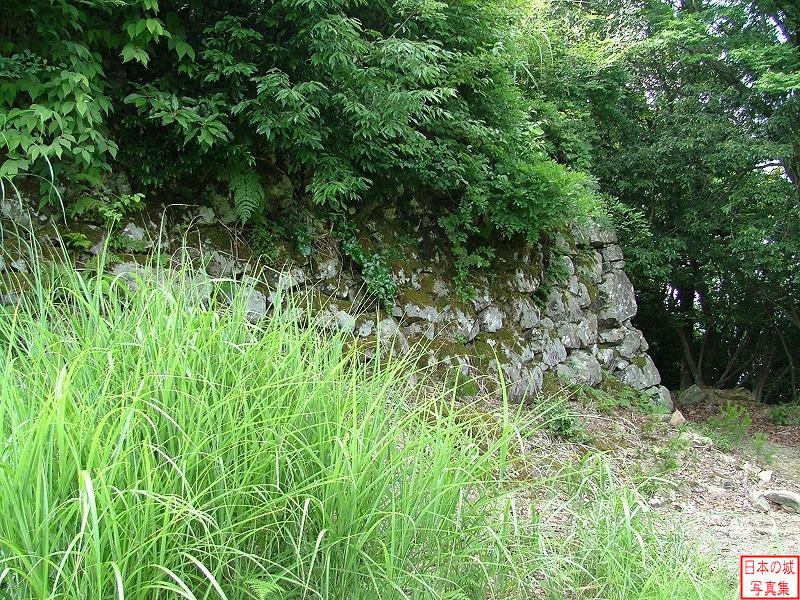 有子山城 有子山城 山上に残る石垣。この石垣は天正八年(1580)に羽柴秀吉が攻略した以降に築かれたもの。