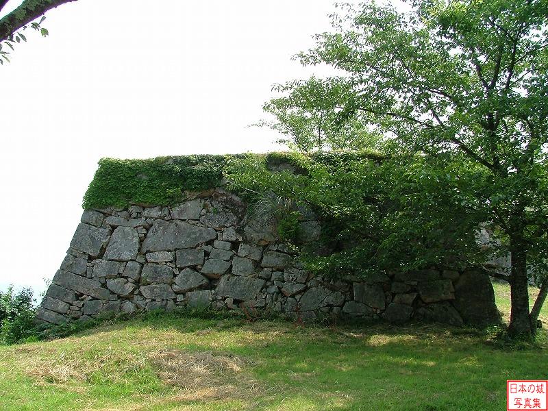 武の門の石垣