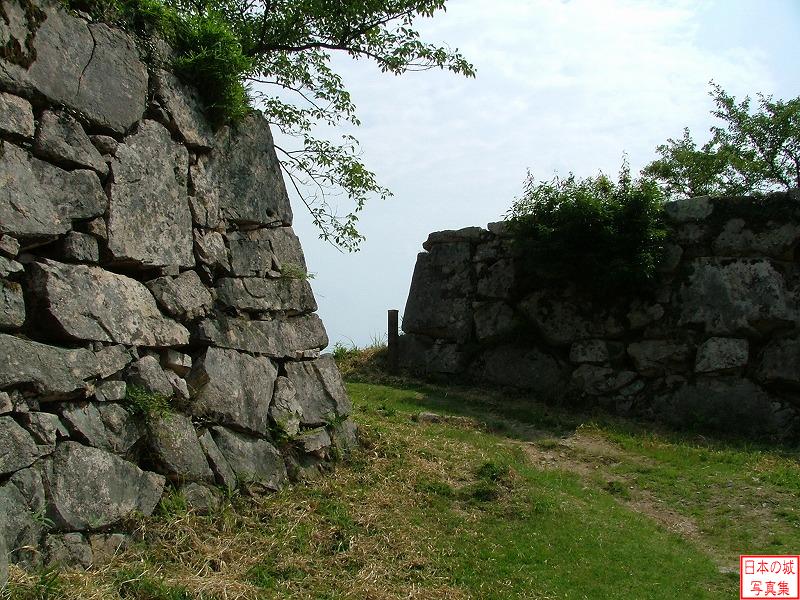 Takeda Castle 
