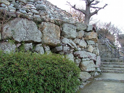 Hamamatsu Castle 