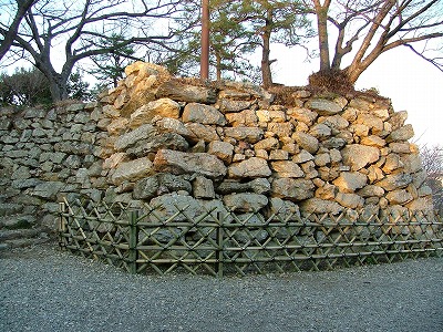 Hamamatsu Castle 