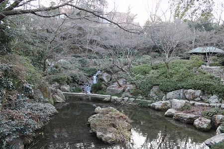 Hamamatsu Castle Japanese garden