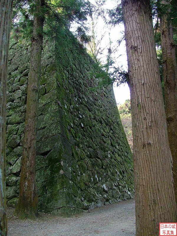 高知城 三の丸石垣 杉の段から見る三の丸北側石垣。この辺りは木々が茂り、訪れる人も少ない