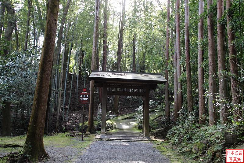 正伝寺。京都市内北西部にある寺。伏見城からの移築建築と伝わる建物がある。林の中の道を抜けて行く