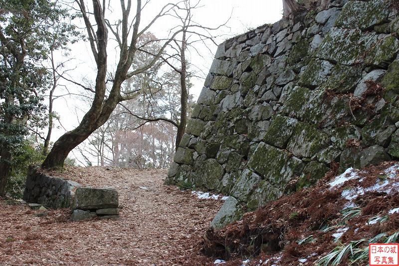 Takatori Castle Main enclosure